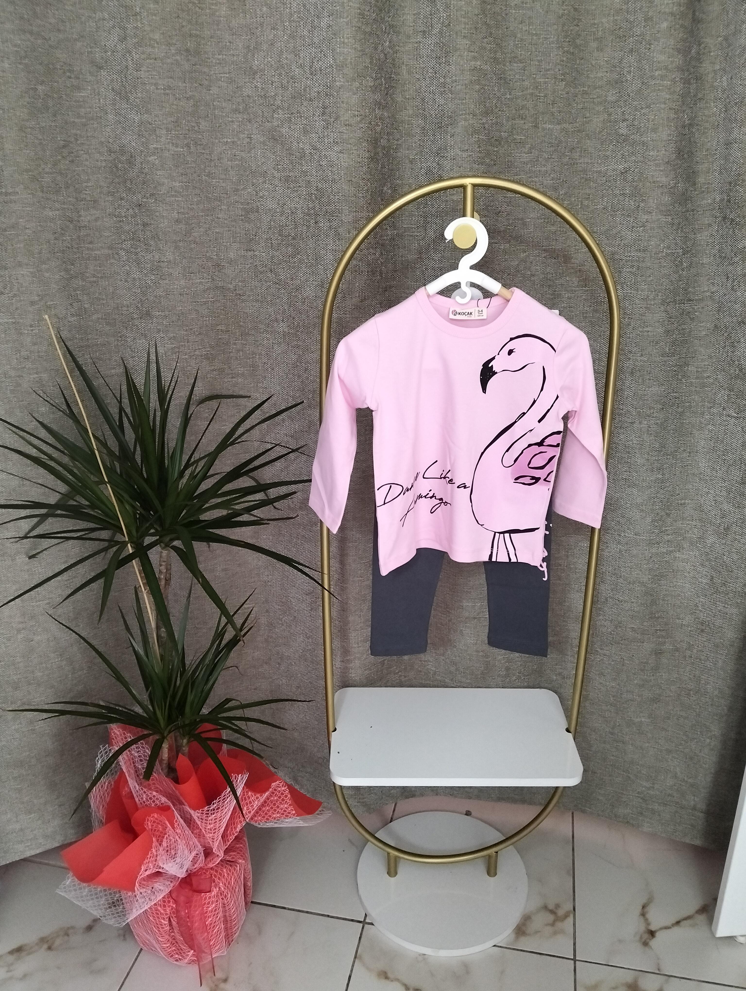 Pembe gri kız çocuk takım