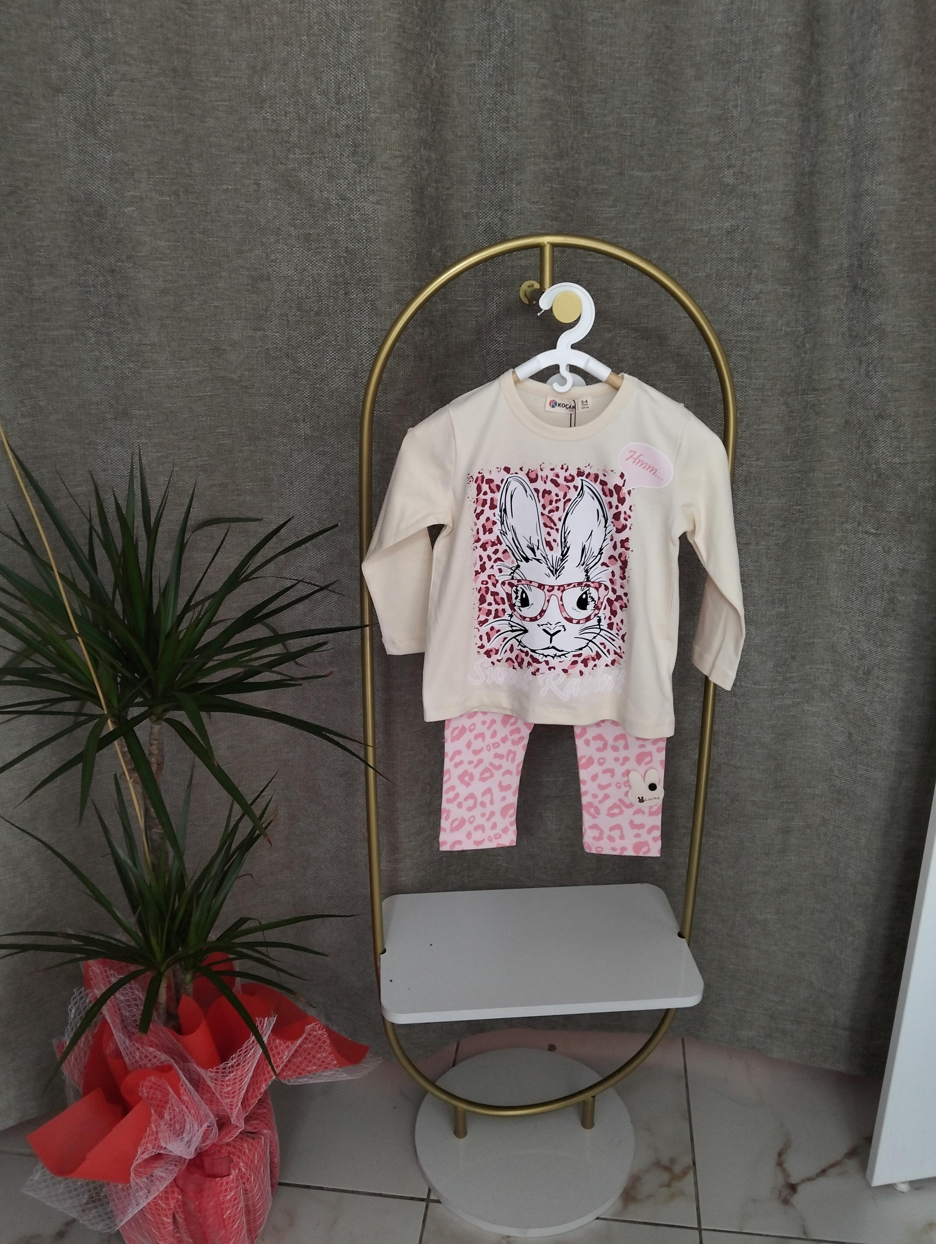 Kedi figürlü taytlı kız çocuk takım